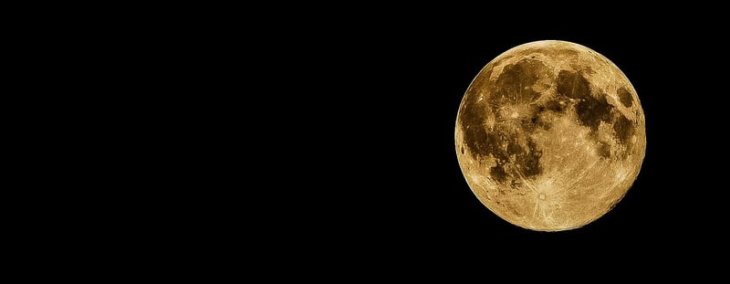 Moonlit Night